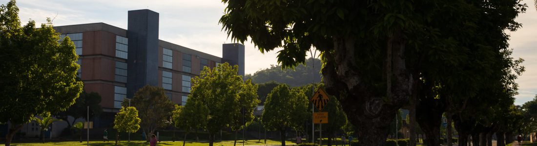 banner-1